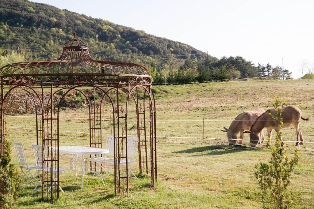 La Cadiere-et-Cambo Domaine De Rochebelle Bed & Breakfast エクステリア 写真