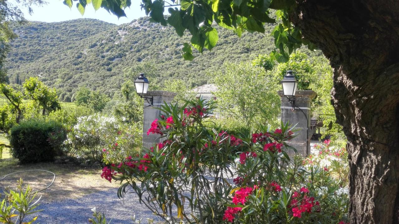 La Cadiere-et-Cambo Domaine De Rochebelle Bed & Breakfast エクステリア 写真